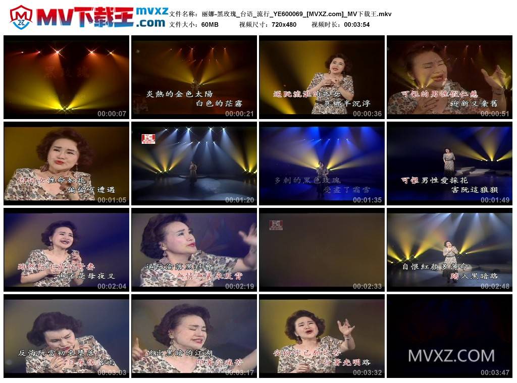 丽娜-黑玫瑰_台语_流行_YE600069